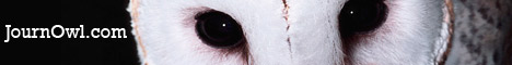 Barn Owl Barn Owl