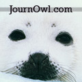 baby seal baby seal