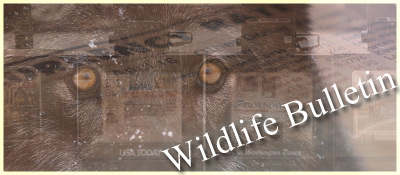 Wildlife Bulletin