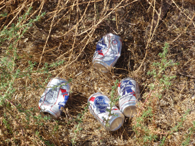 Beer cans by active burrow