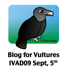 IVAD09 Blog Festival