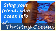 Thriving Oceans: Let's Get Ocean Responsible!