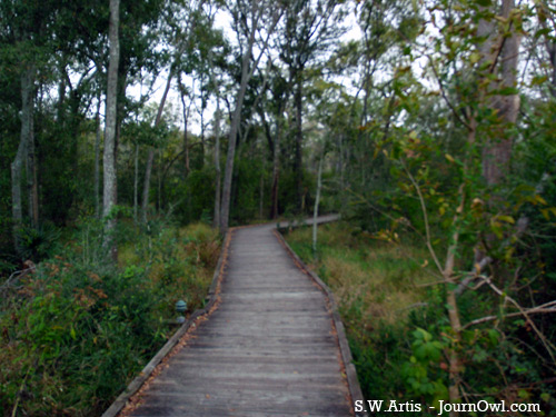 Armand Bayou Nature Center Armand Bayou Nature Center