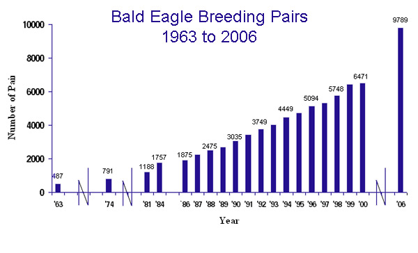 Bald eagle breeding pairs