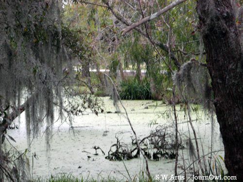 ABNC Pond ABNC Pond