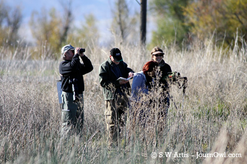 Birding time! (Larry, Jeff, Dawn, Cheryl)