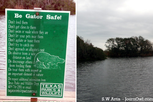 Gator Safe sign Gator Safe sign