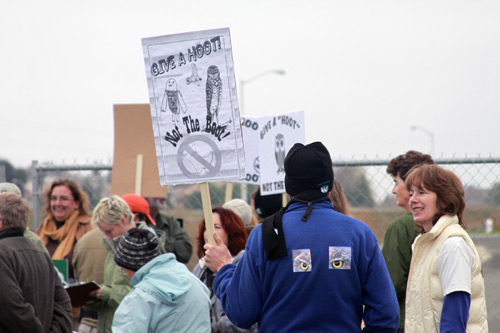 protest-1