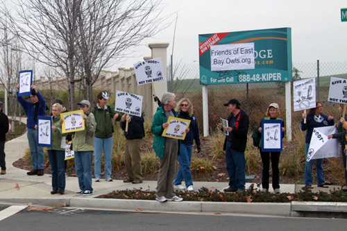 protest-3