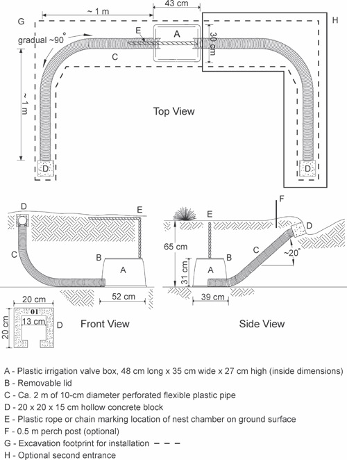 Artificial Burrow Design