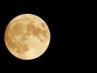 orange moon